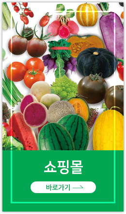 ���θ� �ٷΰ���