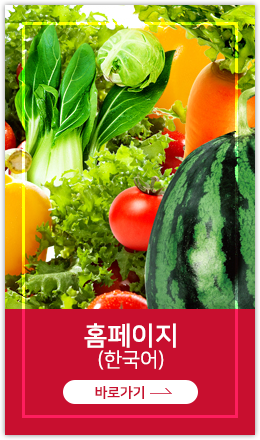 ���� Ȩ������ �ٷΰ���